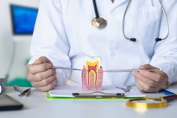 Best Cracked Tooth Emergency Dentist  in Valley Falls, RI